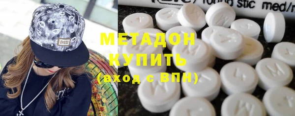 прущие грибы Алзамай