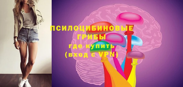 мет Арсеньев