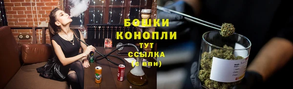 PSILOCYBIN Баксан