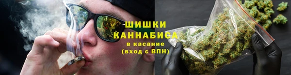 PSILOCYBIN Баксан