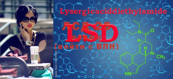 PSILOCYBIN Баксан