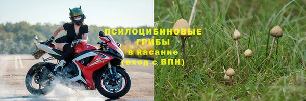 дурь Армянск