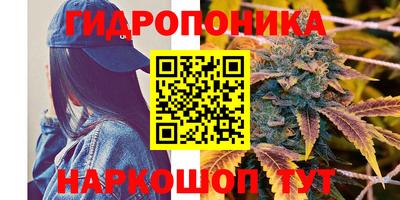 дмт Новодвинск