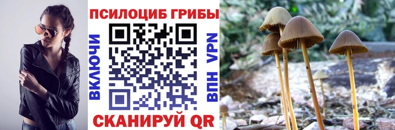 наркота  Спасск-Дальний  Псилоцибиновые грибы MAGIC MUSHROOMS 