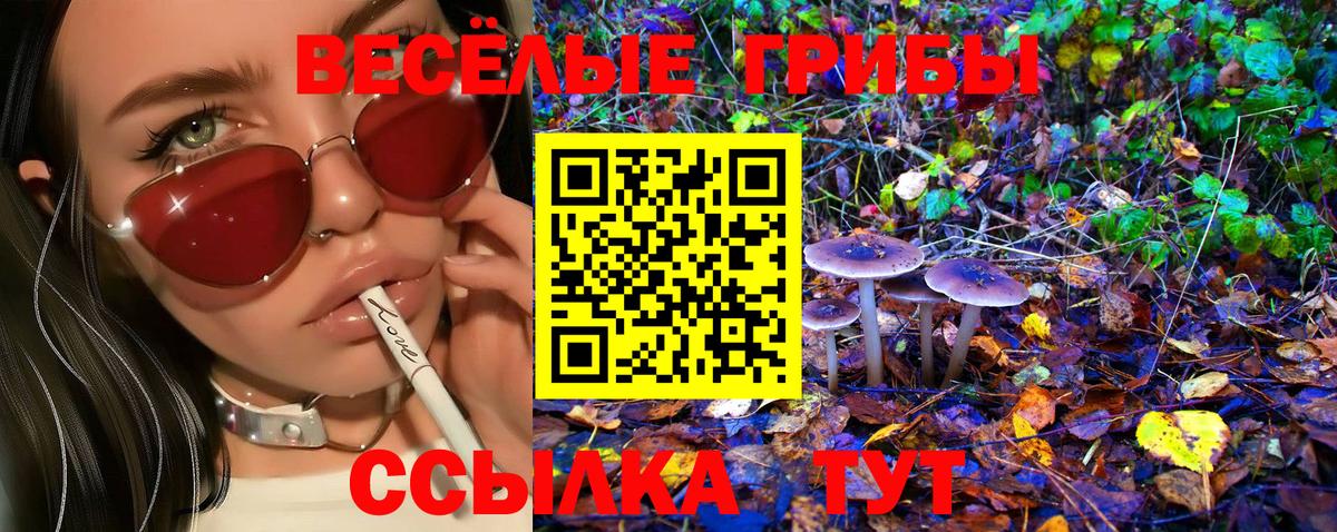 Галлюциногенные грибы MAGIC MUSHROOMS  Вход с VPN  Спасск-Дальний 