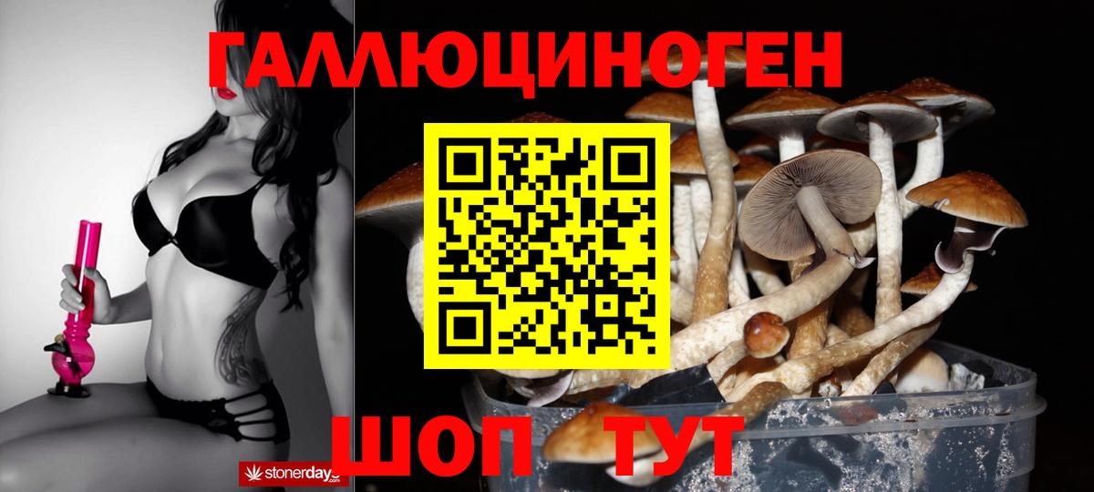 Галлюциногенные грибы мухоморы Спасск-Дальний